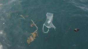 Plastica nel mare toscano