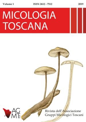 micologia toscana