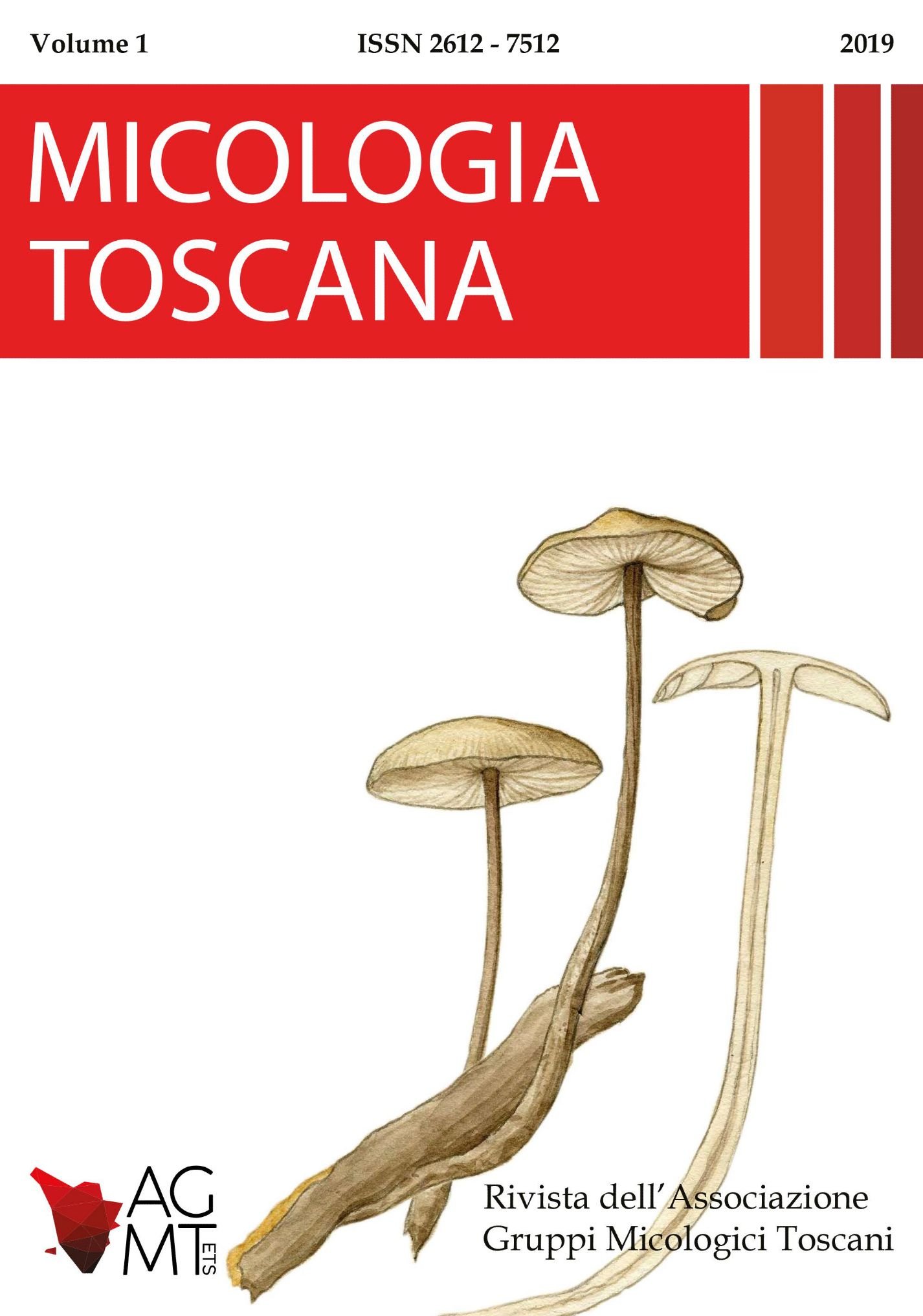 micologia toscana