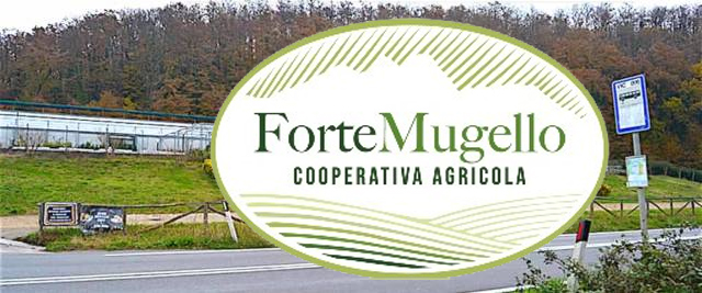Nasce “ForteMugello”: la cooperativa agricola “Il Forteto” cambia nome